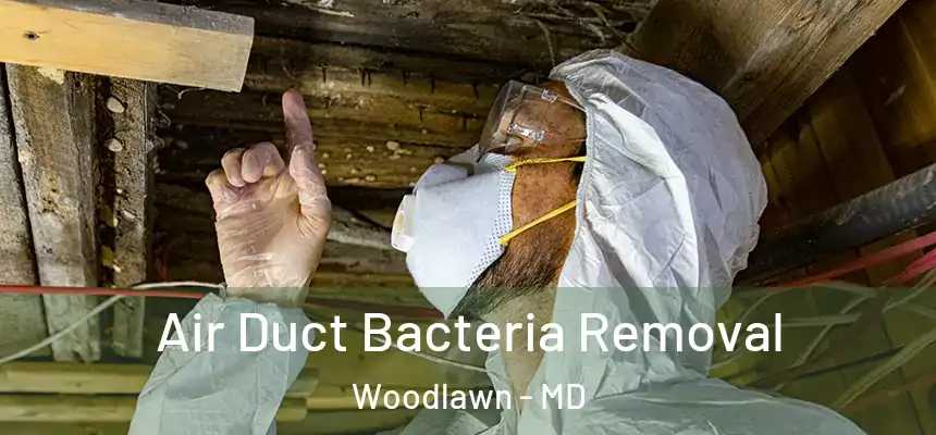  Air Duct Bacteria Removal Woodlawn - MD