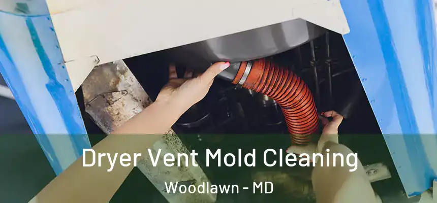  Dryer Vent Mold Cleaning Woodlawn - MD