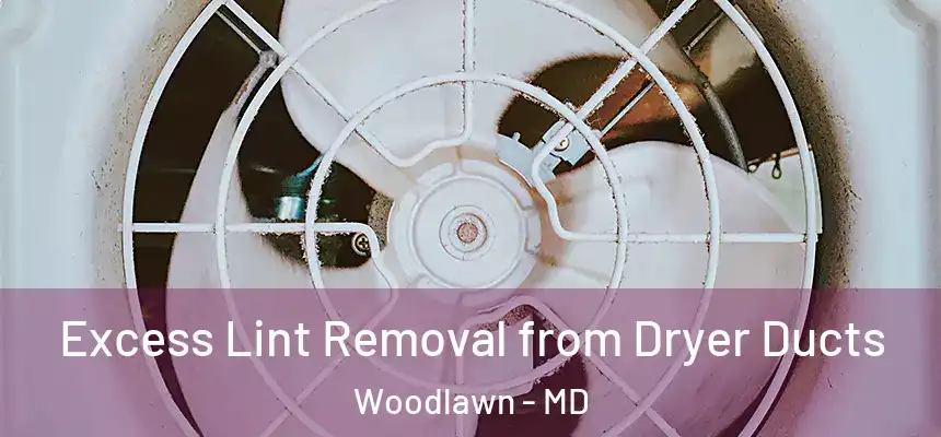  Excess Lint Removal from Dryer Ducts Woodlawn - MD