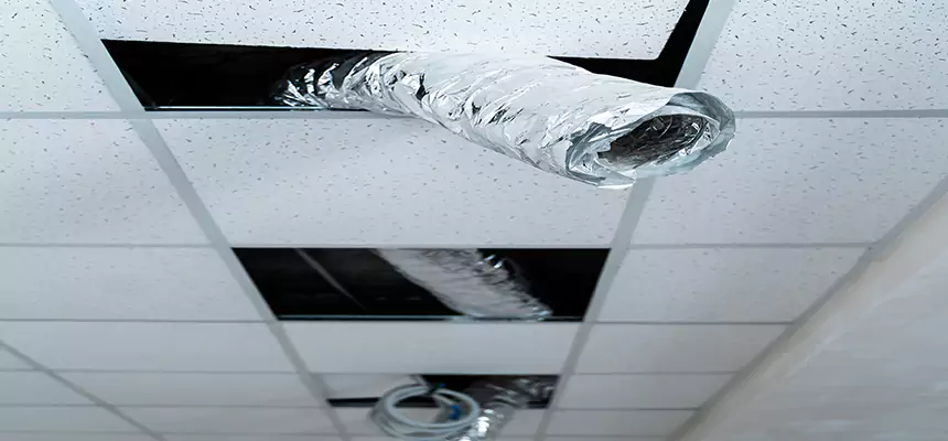 Our Air Duct Pet Hair Removal Services in Woodlawn, MD