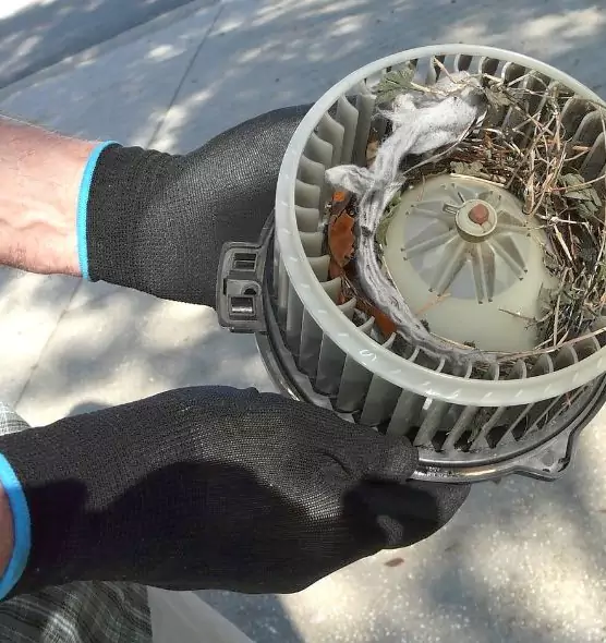 About Air Duct Mice Removal in Woodlawn, MD